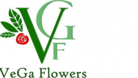 VeGa Flowers Адреса организаций